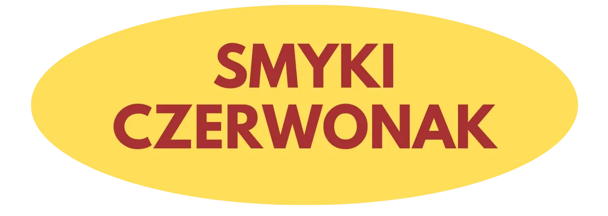 Smyki Czerwonak